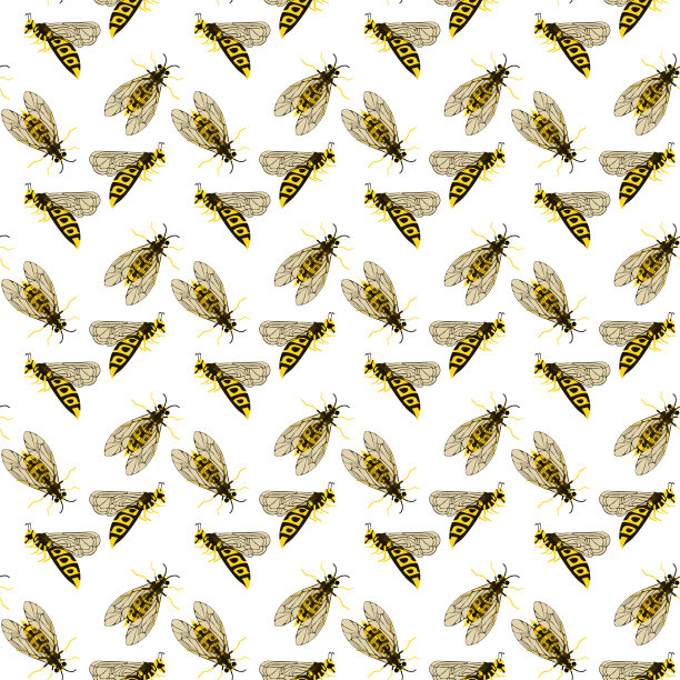黄蜂的模式。可爱的黄色黄蜂在白色。甜美的夏日花纹理用于墙纸、织物、印花。卡通矢量图图片下载