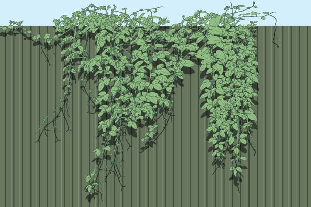 叶模式图片下载