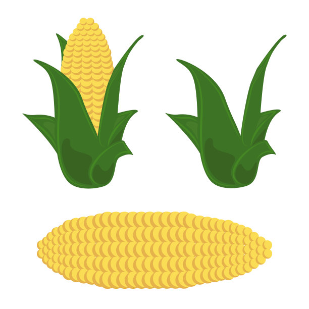 玉米图标有机产品集图片下载