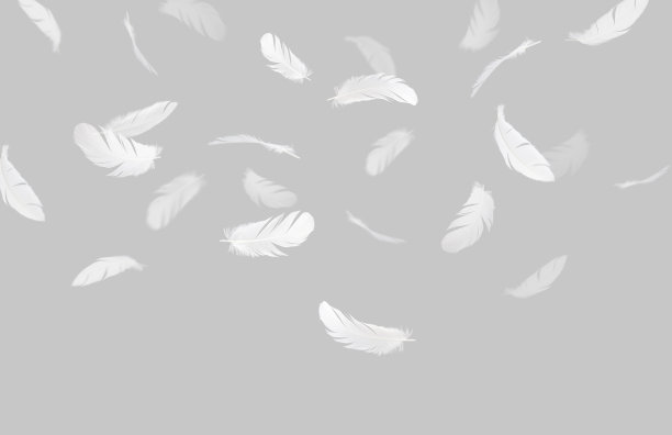 一群白光的鸟羽毛漂浮在空中。羽毛抽象的自由概念。孤立在灰色背景。图片下载