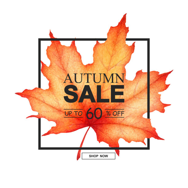 秋季销售矢量旗帜与水彩枫叶孤立的白色背景。设计广告，促销，传单，邀请，卡片，海报，网站图片下载