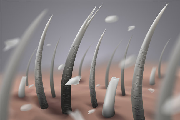 头发受损灰白图片下载