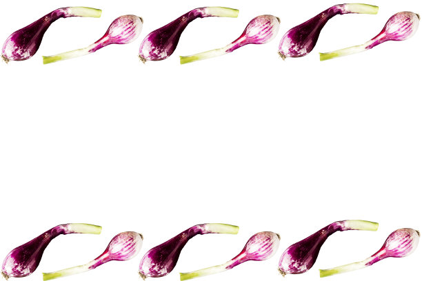 红洋葱孤立。白色背景图片下载