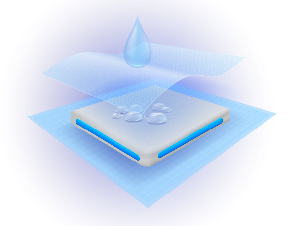 吸水层片图片下载