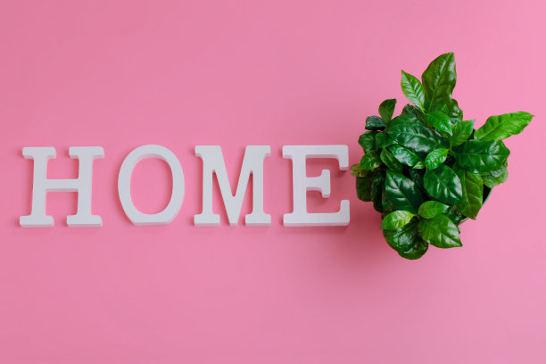 字家是内衬白色字母在浅粉色的背景在末端有一个绿色植物顶视图图片下载
