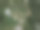 在山径之上。图片下载