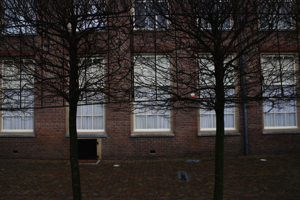 两棵枝叶茂盛的小树在两层楼前的剪影图片下载