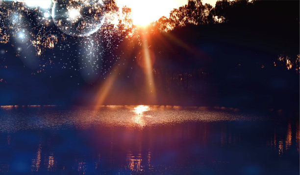 明媚的午后阳光与池水倒影的独特照片图片下载