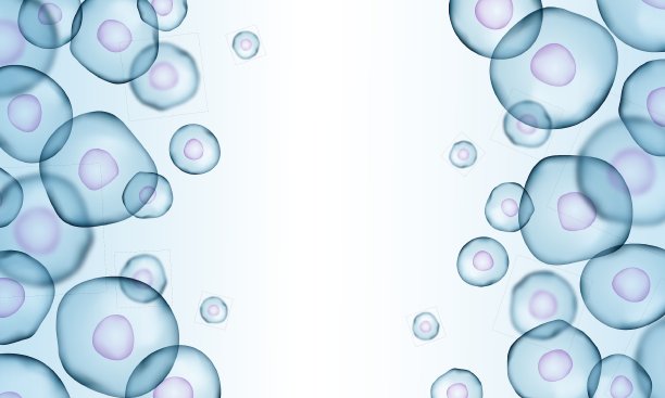 现实的细菌图片下载