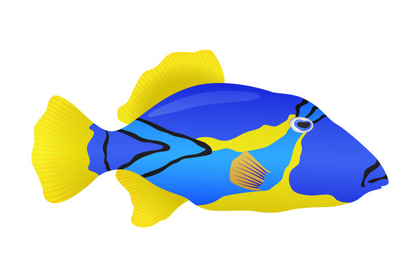 白色背景上装饰性的海鱼或观赏鱼。淡水或咸水水族馆卡通鱼。各种观赏性鱼类图片下载