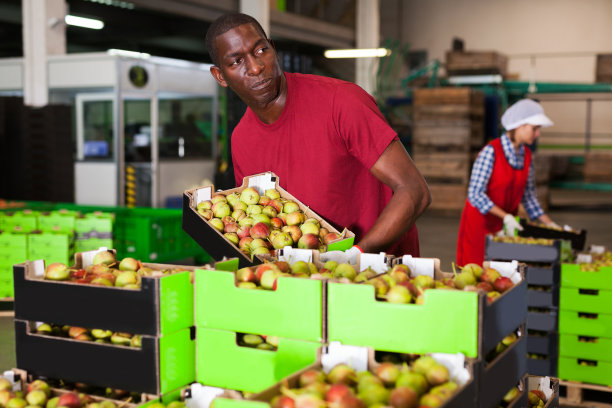 一个黑人工人扛着一个装着梨子的盒子图片下载