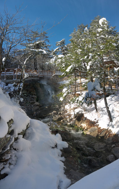 日本草津的塞诺川原公园冬天的风景，温泉溪雪松林图片下载