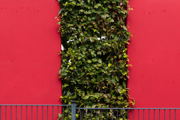 两个红色混凝土元素和中间的角木树篱作为分界线，是该房产的围栏图片下载