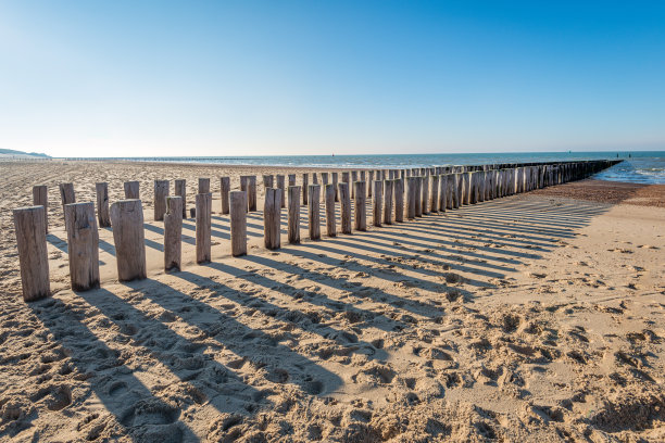 空旷的荷兰海滩上的传统木制防波堤图片下载
