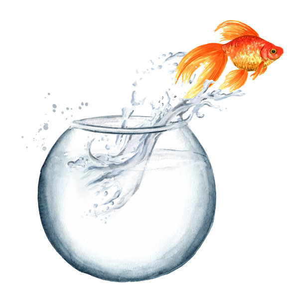 金鱼：从圆形玻璃碗中跳出水面的金鱼水彩手绘插画图片下载