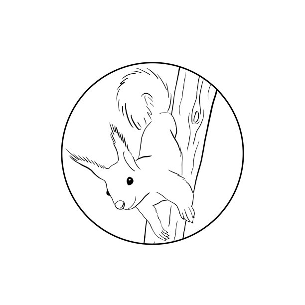 在圆圈框架中，树干上的松鼠矢量轮廓。手绘插图。图片下载