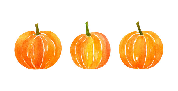 橙色南瓜套装图片下载