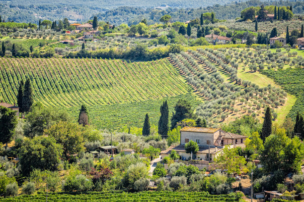 圣吉米尼亚诺，意大利，在夏季，在小镇村庄的葡萄园和别墅景观与橄榄柏树空中高角度视图图片下载