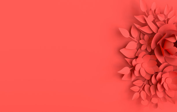 纸上淡雅的白花和叶子，折纸花的背景。情人节，复活节，母亲节，结婚贺卡。3d渲染数字春天或夏季鲜花插图在纸艺术风格。图片下载