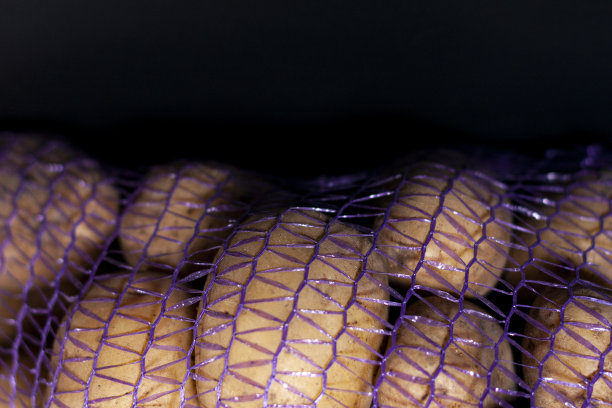 网袋新鲜大土豆在屏幕的底部。顶部为广告提供免费空间。图片下载