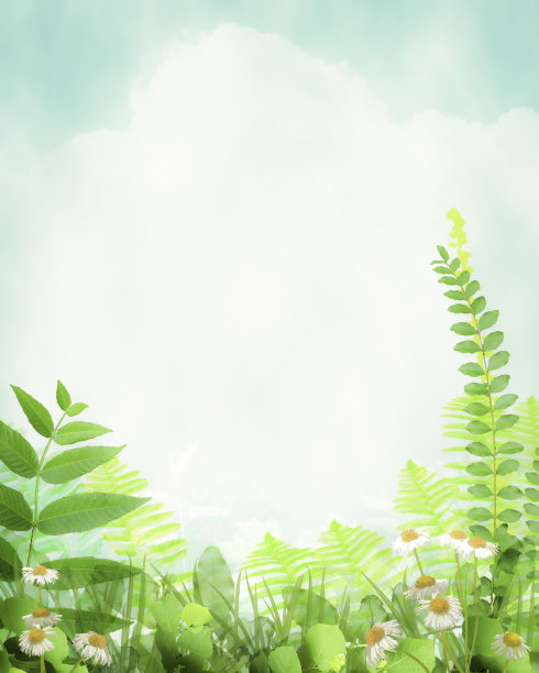 蓝天，树叶，野花的自然背景小品-复制空间图片下载