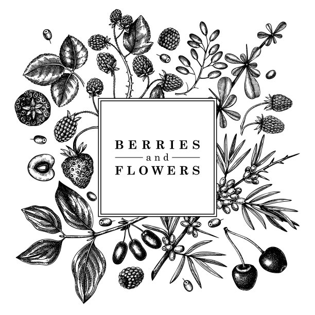 手绘浆果框雕刻风格野生图片下载