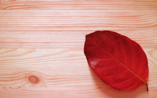 红色落叶孤立在木质背景上图片下载