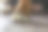 这是一只伯尔尼山地犬在铺路板上爪子的特写镜头。图片下载