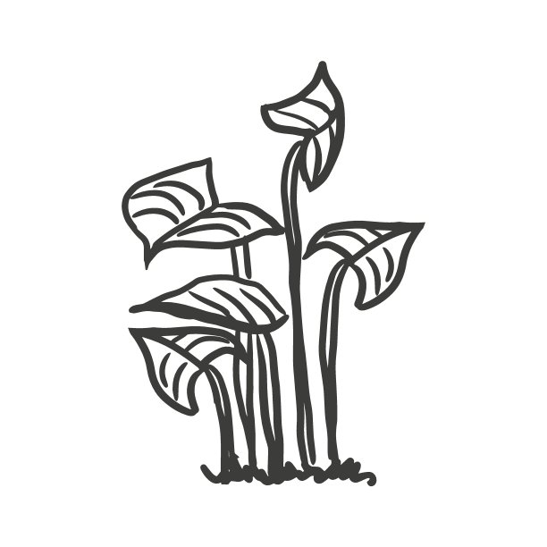 海藻、珊瑚图片下载