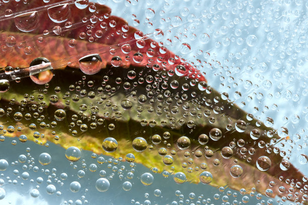 在蔚蓝色的背景下，红、绿、黄三色的落叶上落下斑驳的水滴。抽象的幻想。图片下载