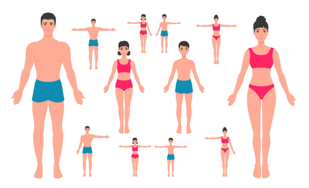 人体解剖学。一个男人，一个女人，一个女孩，一个男孩。全家都穿着内衣，一只手举着，双臂展开。一个人体模型，裁缝的模型。图片下载