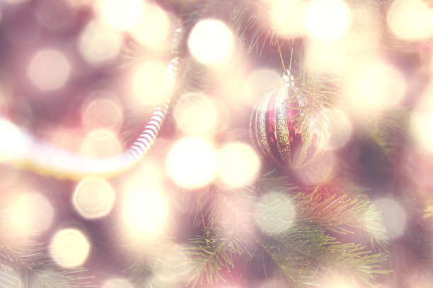 挂在树枝上的圣诞球。图片下载