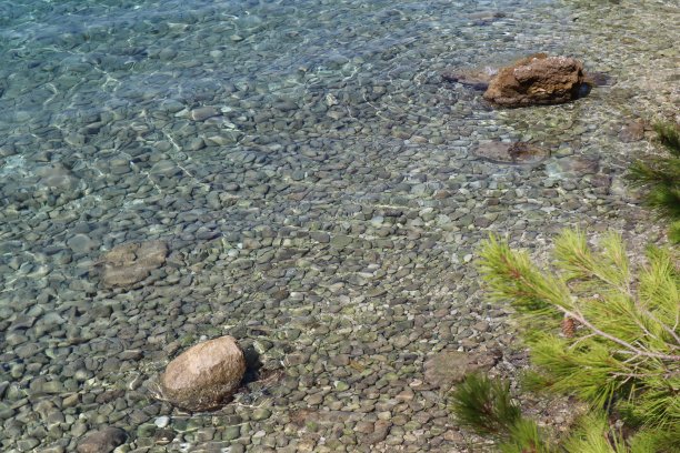 碧绿的亚得里亚海。石头和松树的树枝图片下载