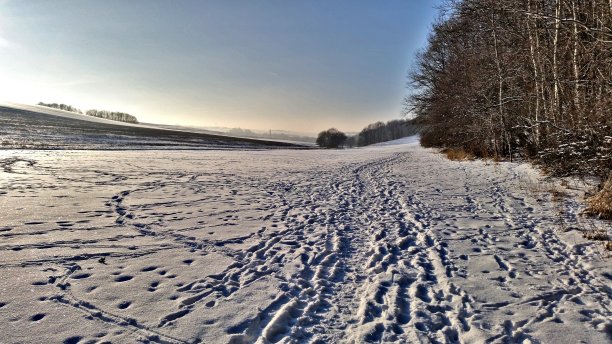 冬季仙境图片下载