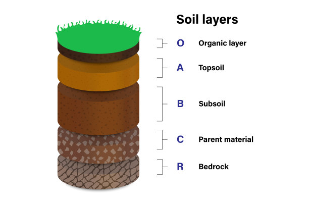 教育土壤层图片下载