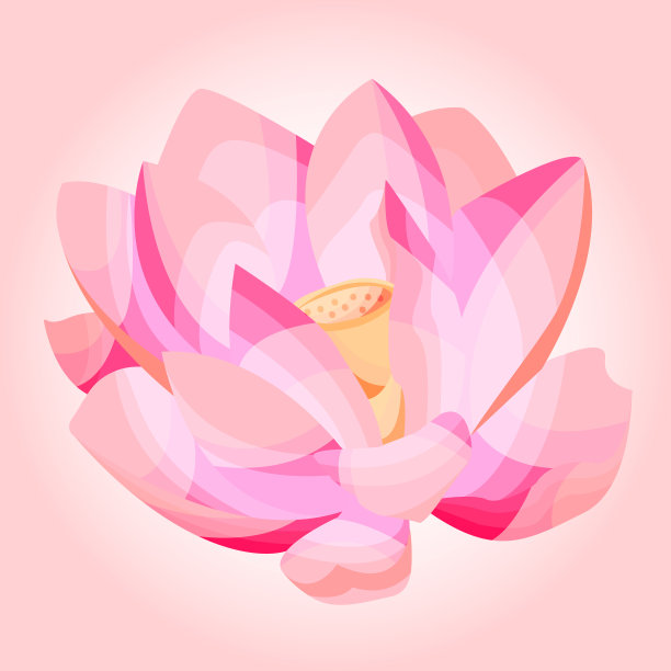 向量插图的莲花图片下载