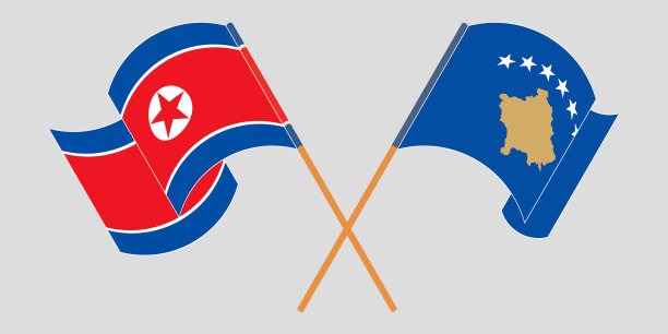 挥舞着科索沃和朝鲜的国旗图片下载