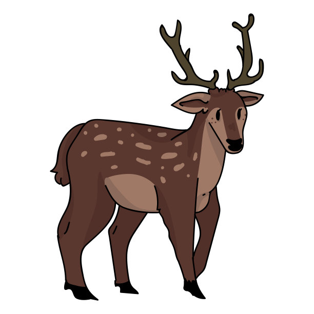 可爱的林地鹿鹿图片下载