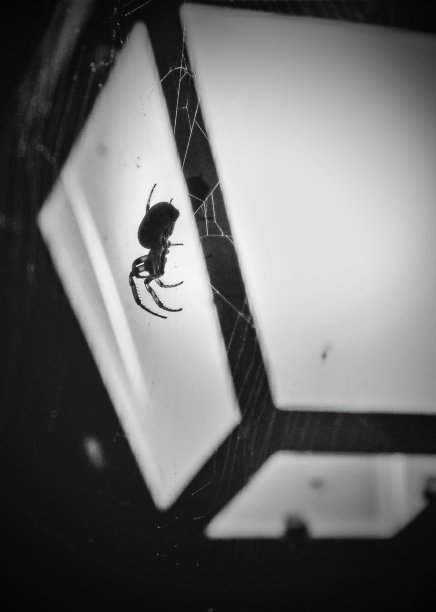 梦想编织图片下载