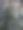 天窗下的松树林图片下载