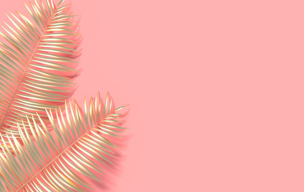 热带棕榈叶背景。夏季热带叶。异国情调的夏威夷丛林，夏季派对设计时髦的海报，传单，横幅，卡片，封面，小册子。3 d渲染。图片下载