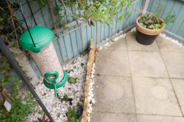 一个新填满的野生鸟类喂食器的浅焦点。图片下载