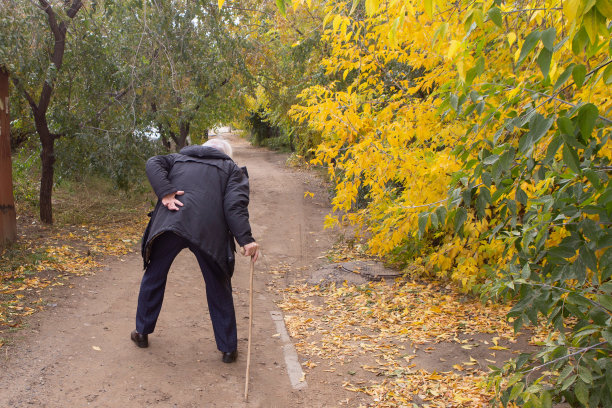 老人在秋天的森林里图片下载