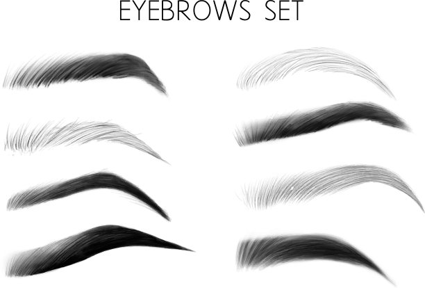 黑色和白色的眉毛图片下载