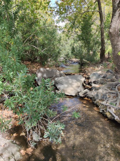 从小河到瀑布图片下载