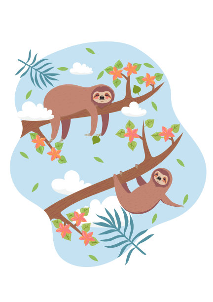 可爱的树懒在树枝上休息图片下载