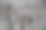 详细的近距离观察老化的混凝土墙裂缝和许多结构图片下载