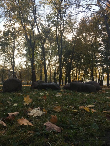 俄罗斯莫斯科金秋的日出。图片下载