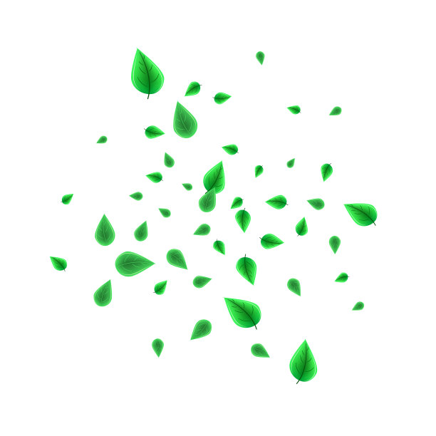 模糊了新鲜飞的绿叶品质图片下载