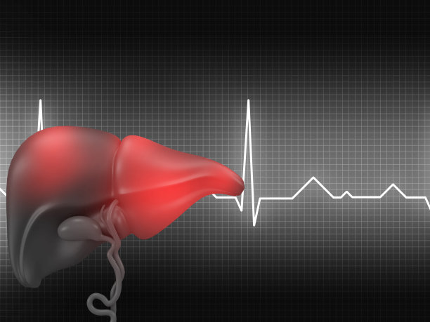 人类肝脏的医学背景图片下载